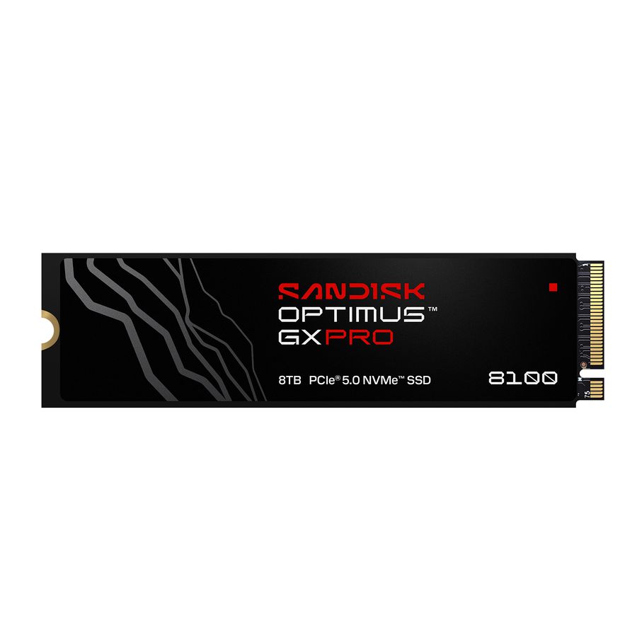 SANDISK Optimus GX PRO 8100 SSD 1TB