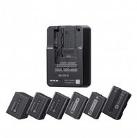 Sony BC-QM1 Multi Akku Charger + USB