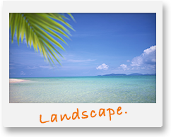 Fujifilm Instax 300 black