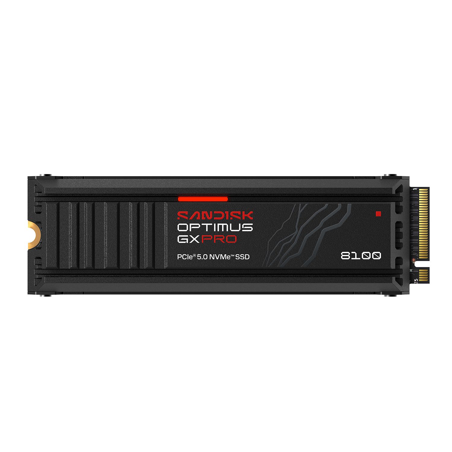 SANDISK Optimus GX PRO 8100 SSD 1TB HS