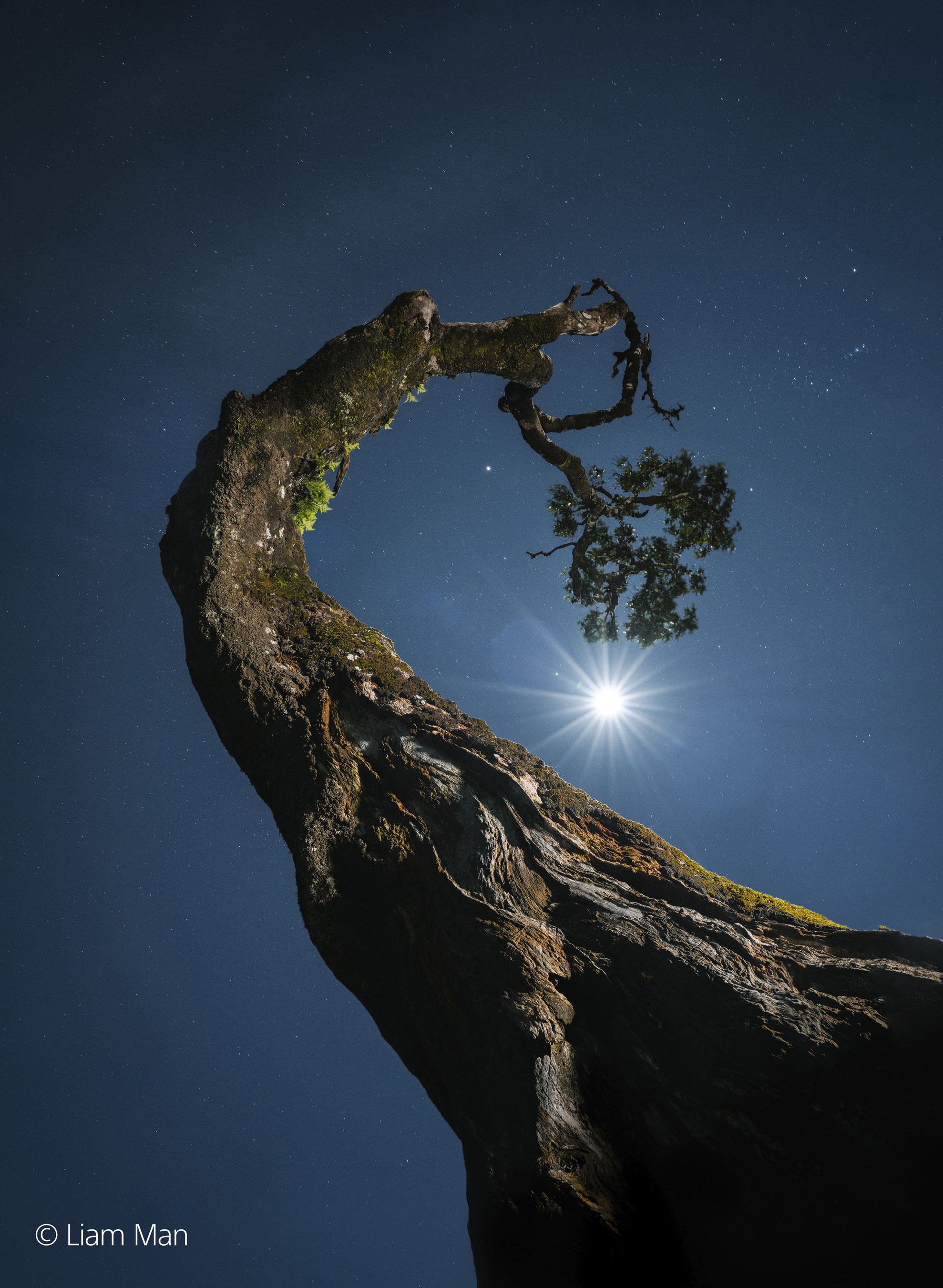 Sony E-Mount FF 20-70mm F4 G