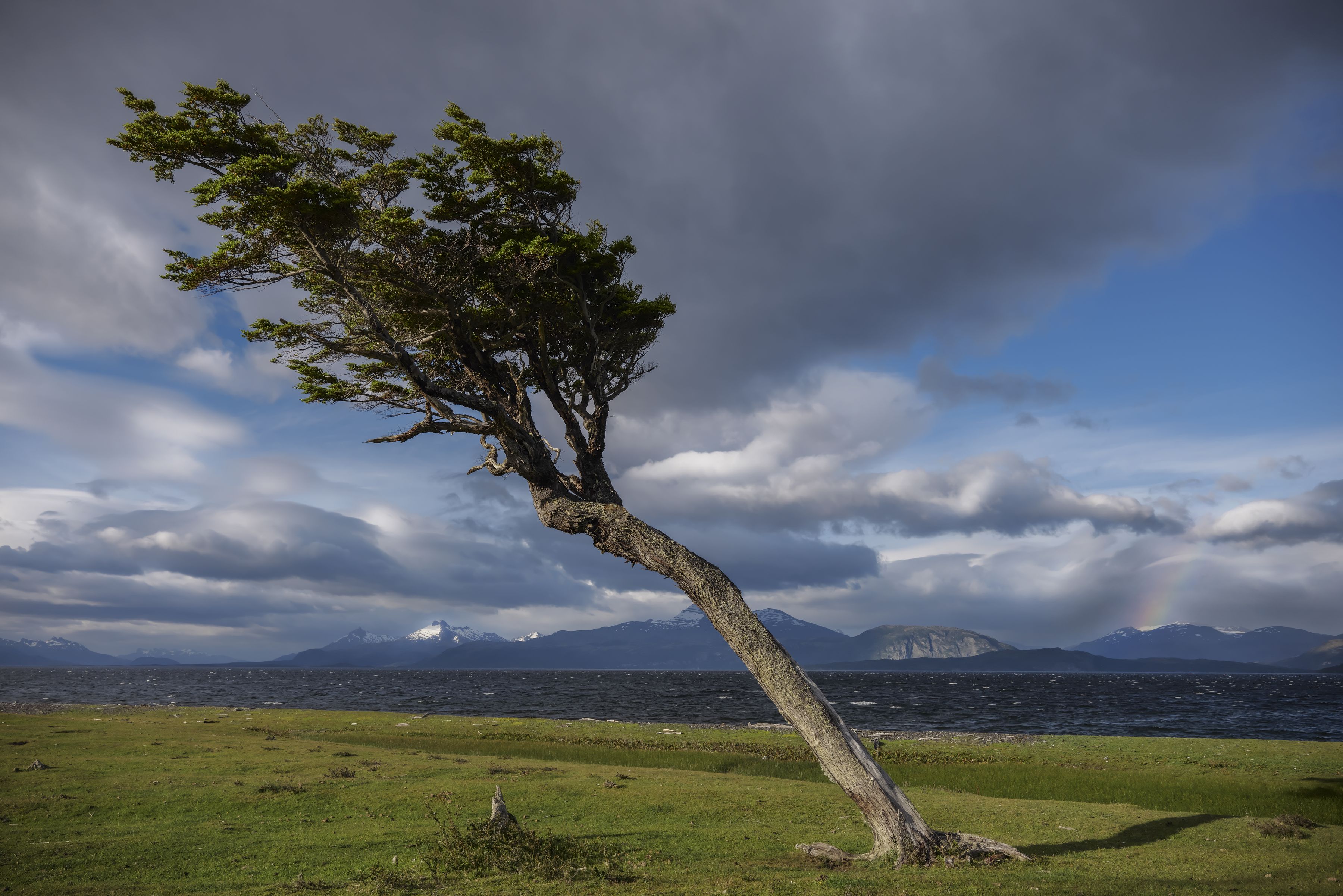 Panasonic Lumix S 24-105mm F4.0 Makro