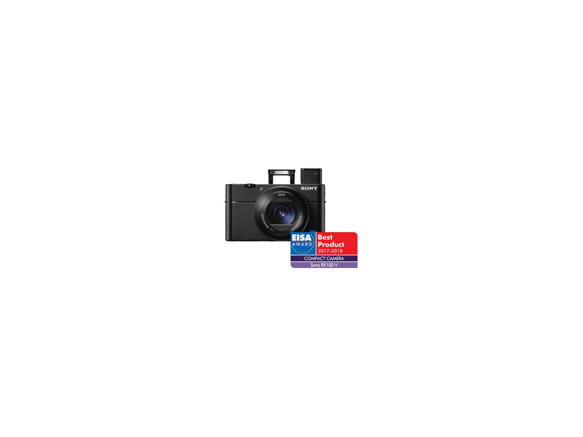 Sony DSC-RX100 Mark V Cybershot Black