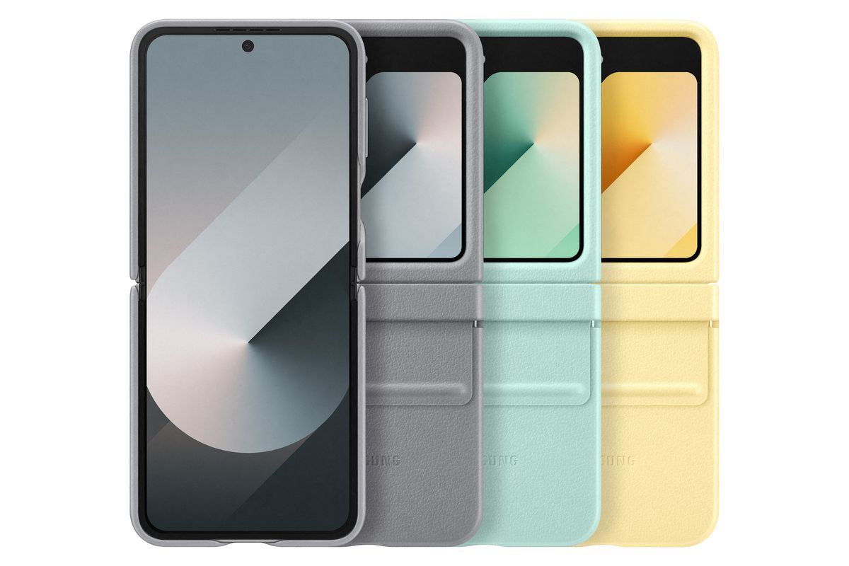 Samsung Flip 6 Kindsuit Case Gray