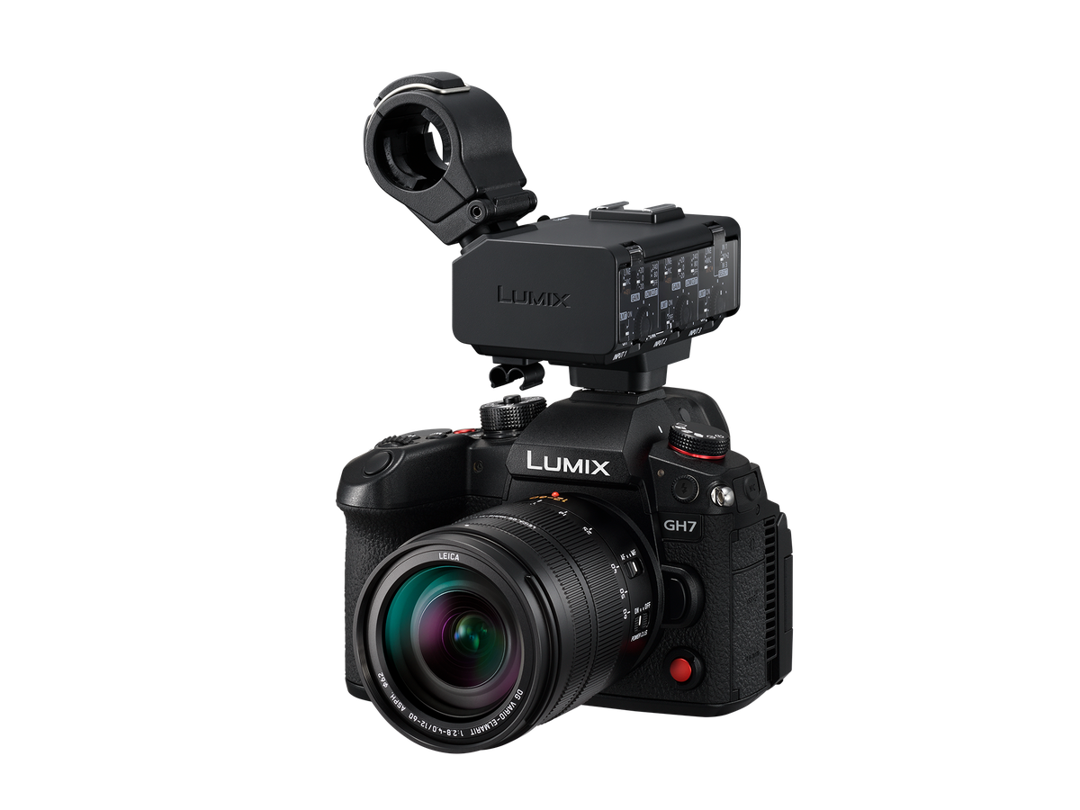 Panasonic DMW-XLR2E Video Interface